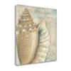 Rustic French Seashell 3 Giclee Wrap Canvas Wall Art - Home Decor > Wall Art - $196.99