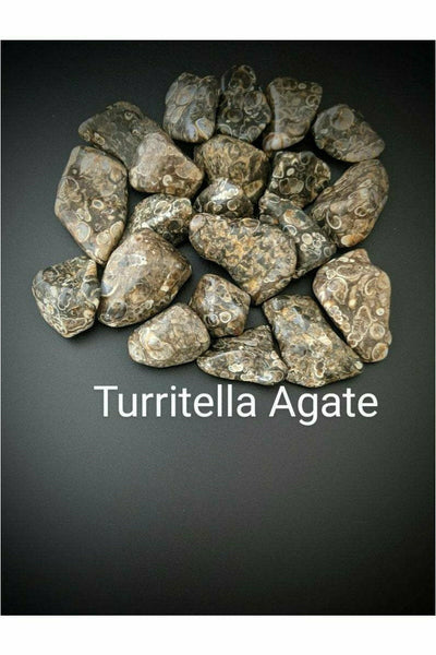 Tumbled Turritella Agate crystals