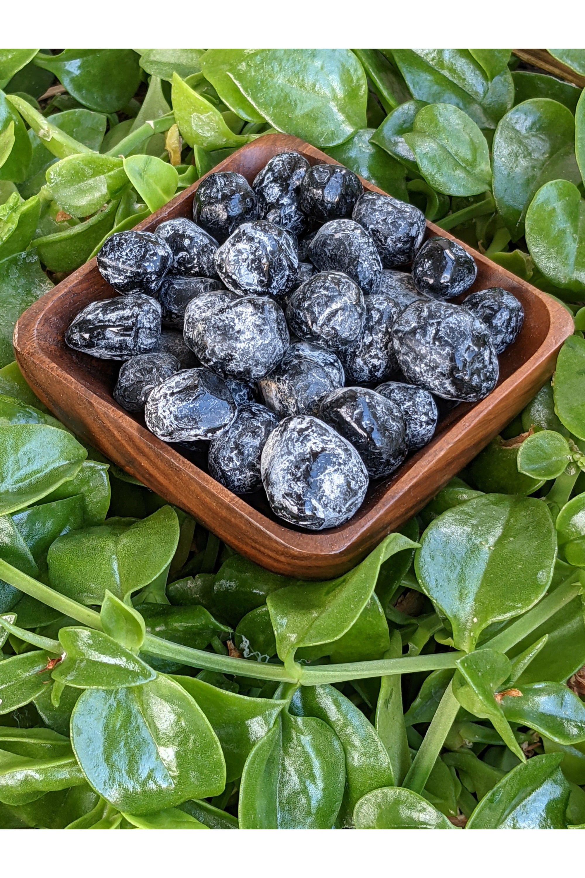 Rough Apache Tears (Black Obsidian)