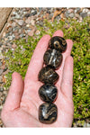 Polished Black Jasper crystals