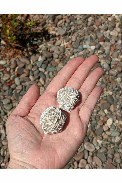 Desert Rose Selenite Crystal - 1 pc