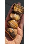 Tumbled Tigers Eye crystals - large